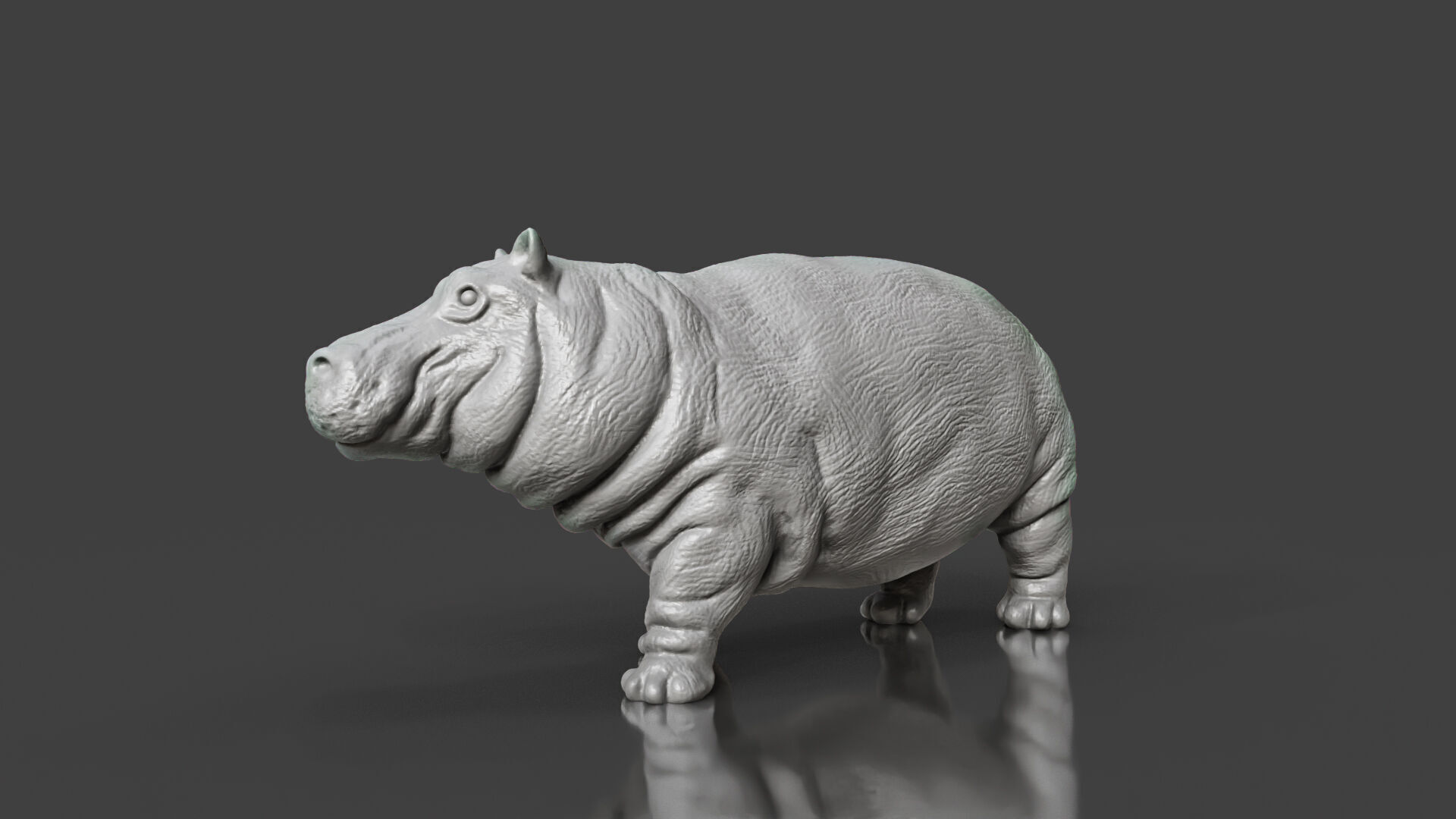 Zoo Realism Toy Hippo 3D Model STL 3D print model_2