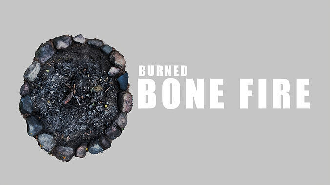 Burned Bonfire 3D model
