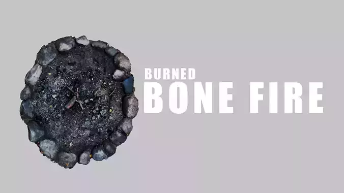 Burned Bonfire 3D model