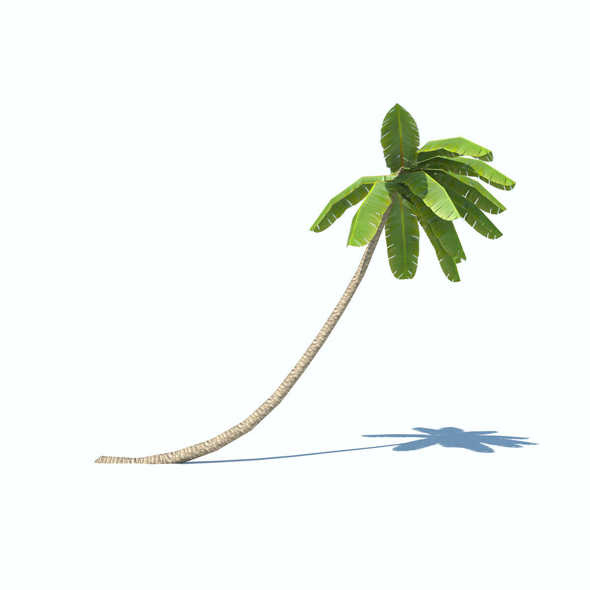 Palms low-poly palm tree Low-poly 3D model_3