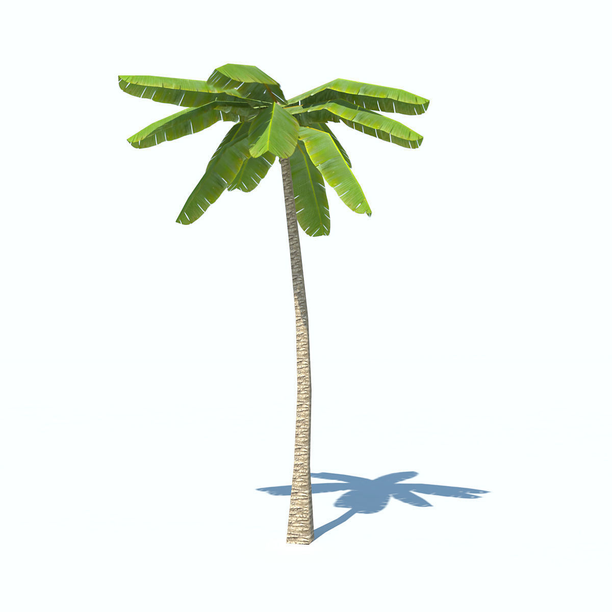 Palms low-poly palm tree Low-poly 3D model_5
