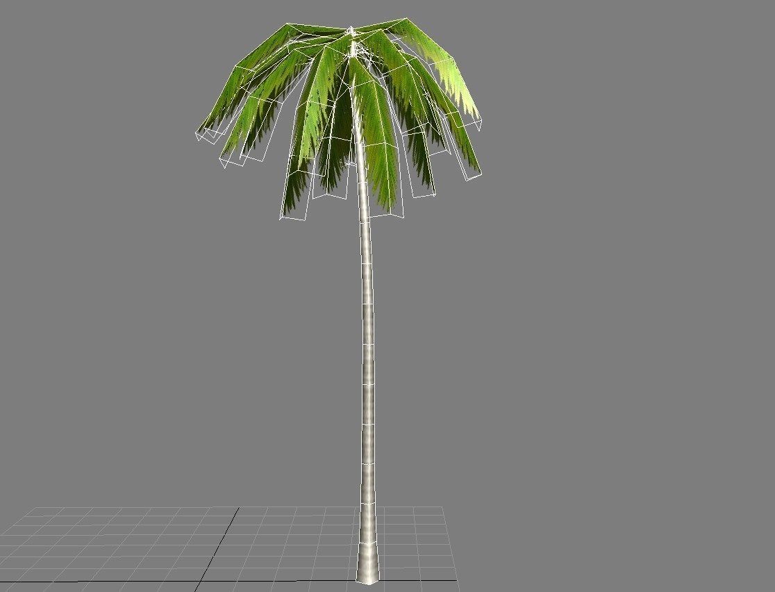 Palms low-poly palm tree Low-poly 3D model_12