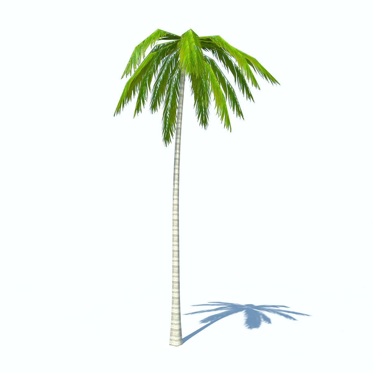 Palms low-poly palm tree Low-poly 3D model_7