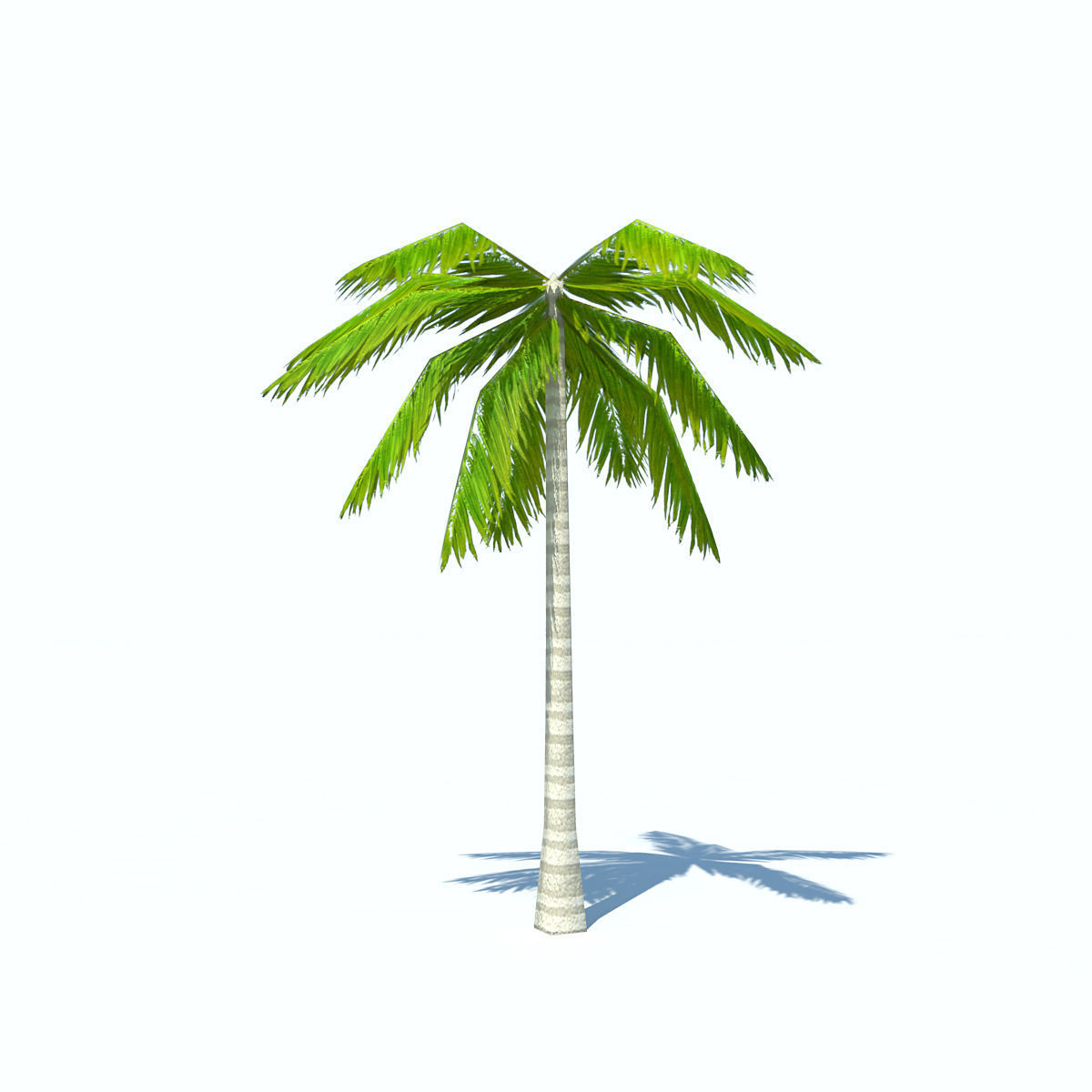 Palms low-poly palm tree Low-poly 3D model_8