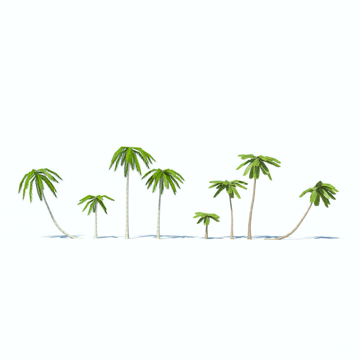 Palms low-poly palm tree Low-poly 3D model_11