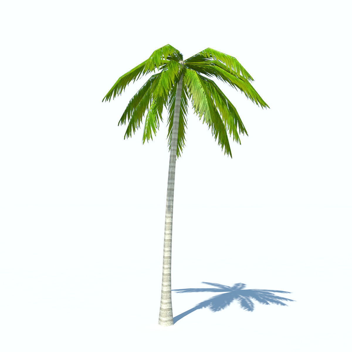 Palms low-poly palm tree Low-poly 3D model_9