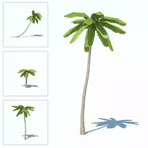 Palms low-poly palm tree Low-poly 3D model
