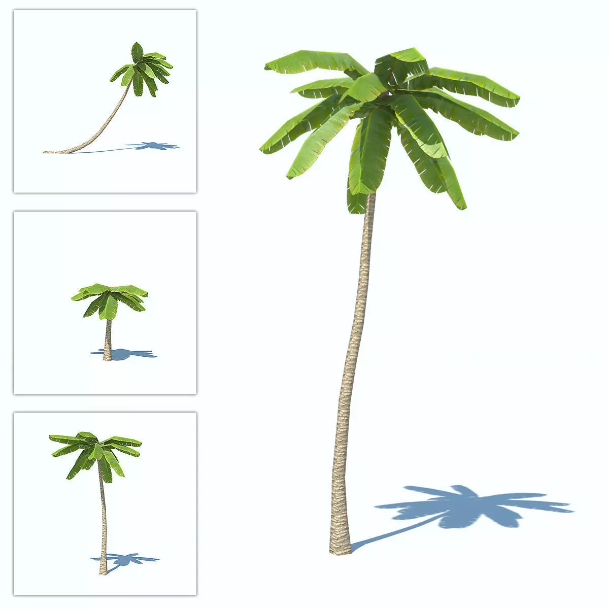 Palms low-poly palm tree Low-poly 3D model_0