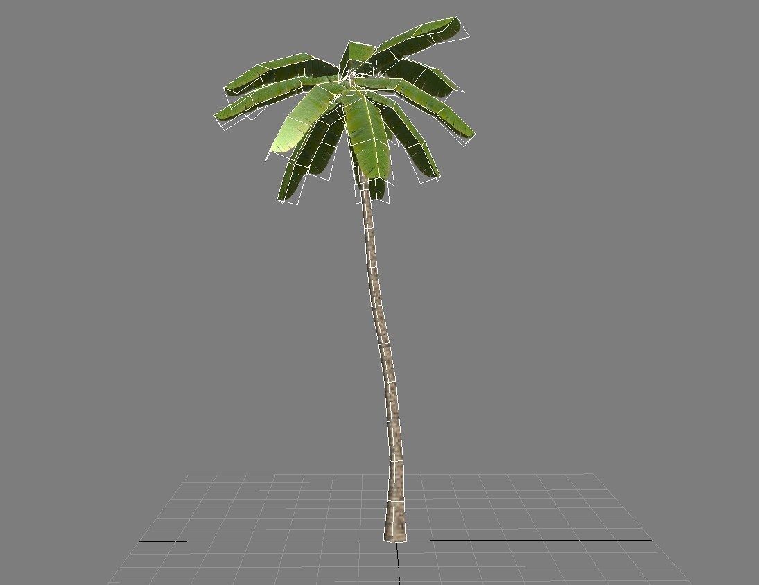 Palms low-poly palm tree Low-poly 3D model_14