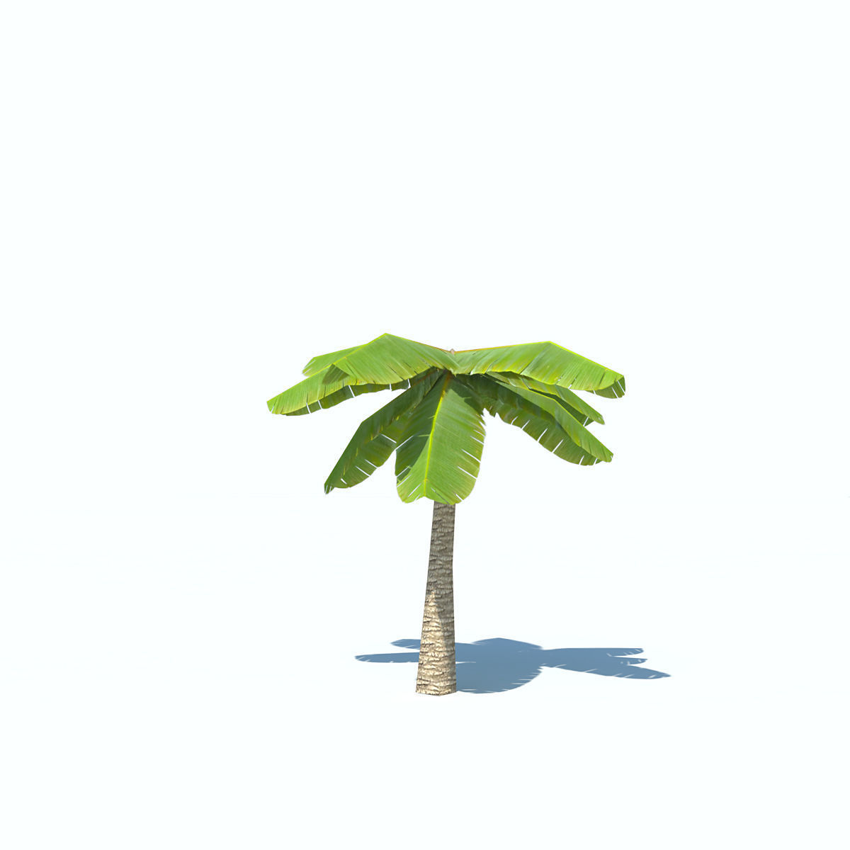 Palms low-poly palm tree Low-poly 3D model_4