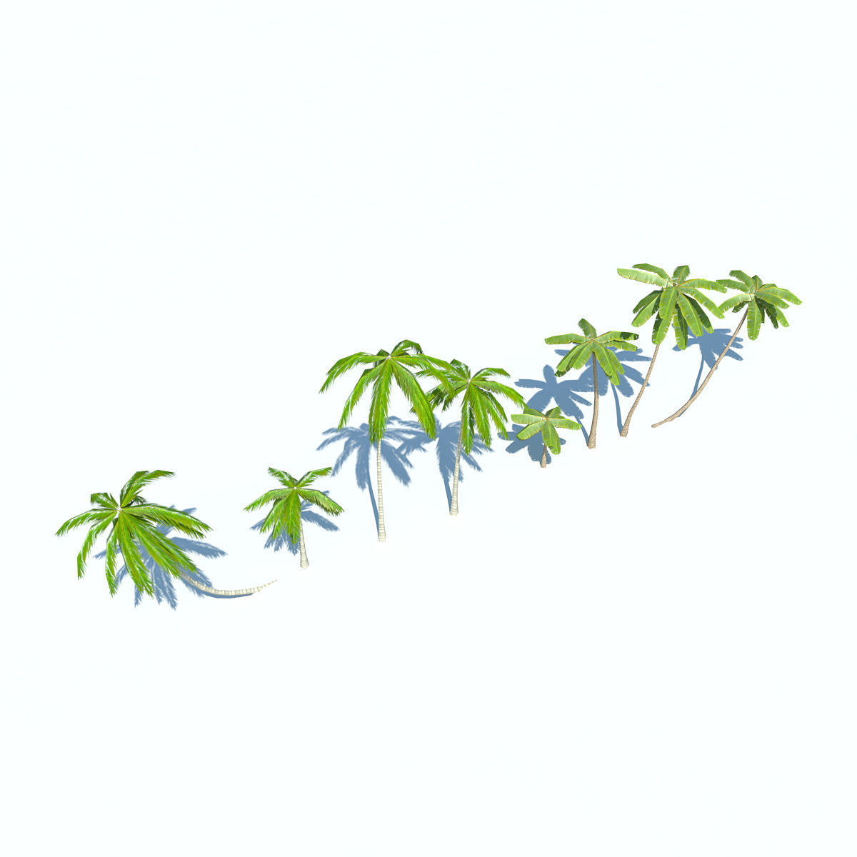 Palms low-poly palm tree Low-poly 3D model_10