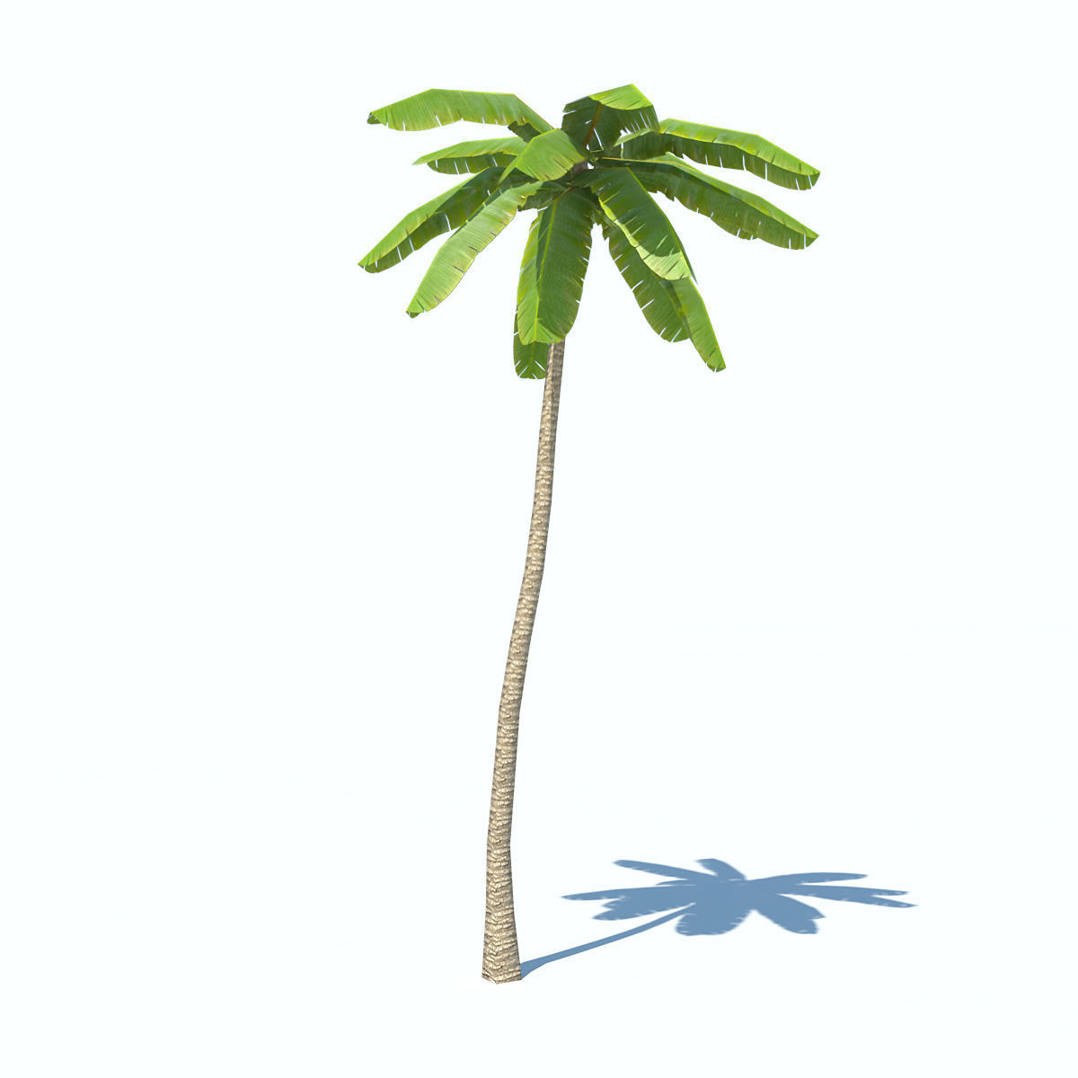 Palms low-poly palm tree Low-poly 3D model_2