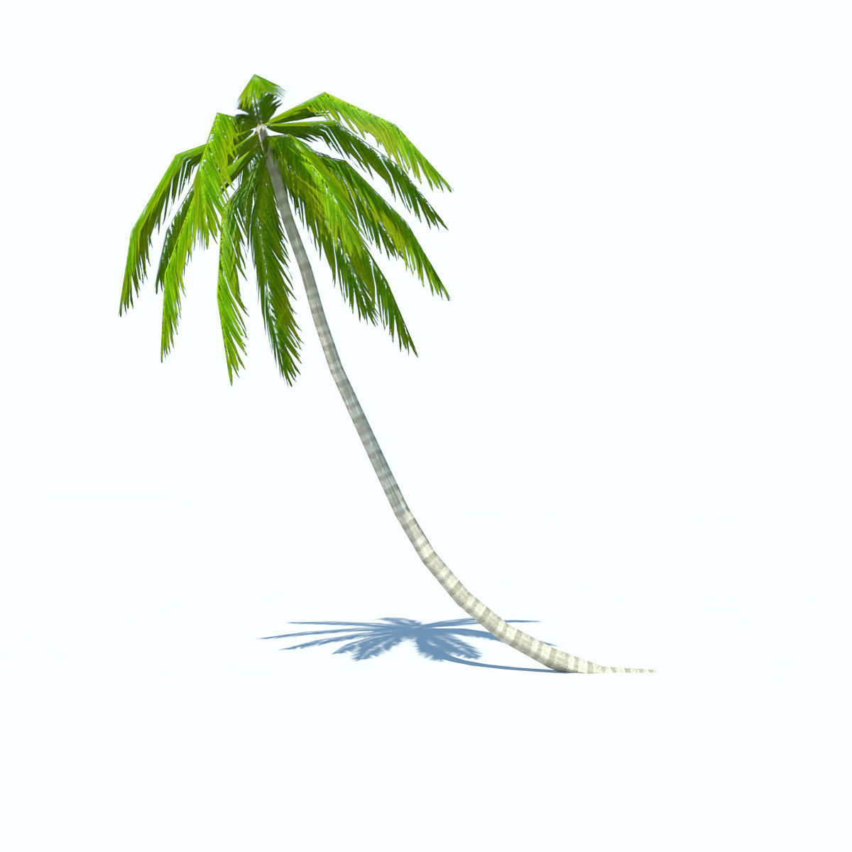 Palms low-poly palm tree Low-poly 3D model_6