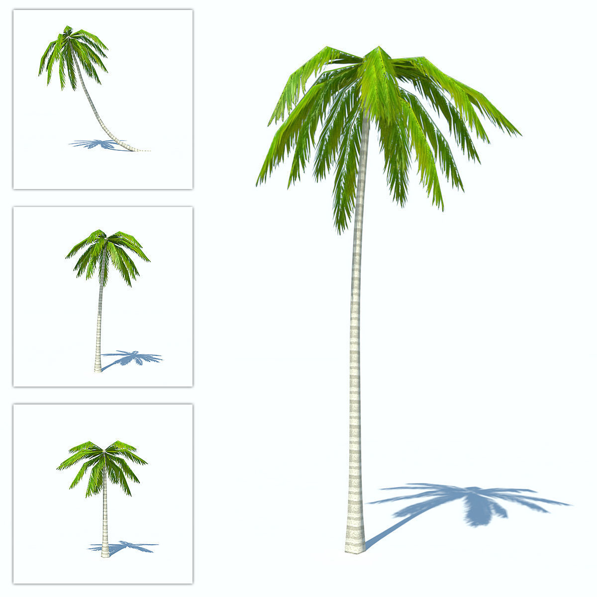 Palms low-poly palm tree Low-poly 3D model_1