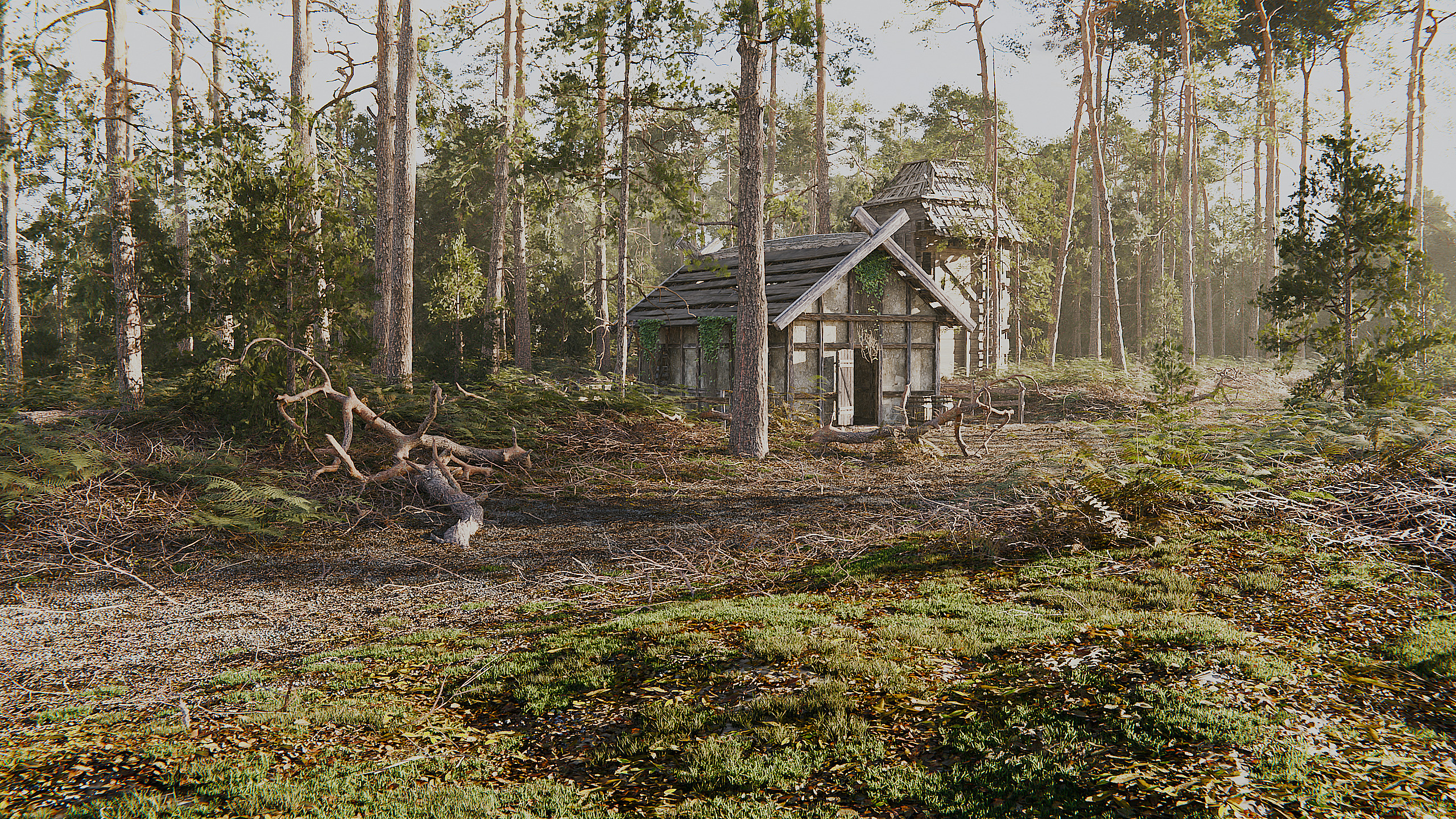 Pine Forest Realistic Scene 3D model_2