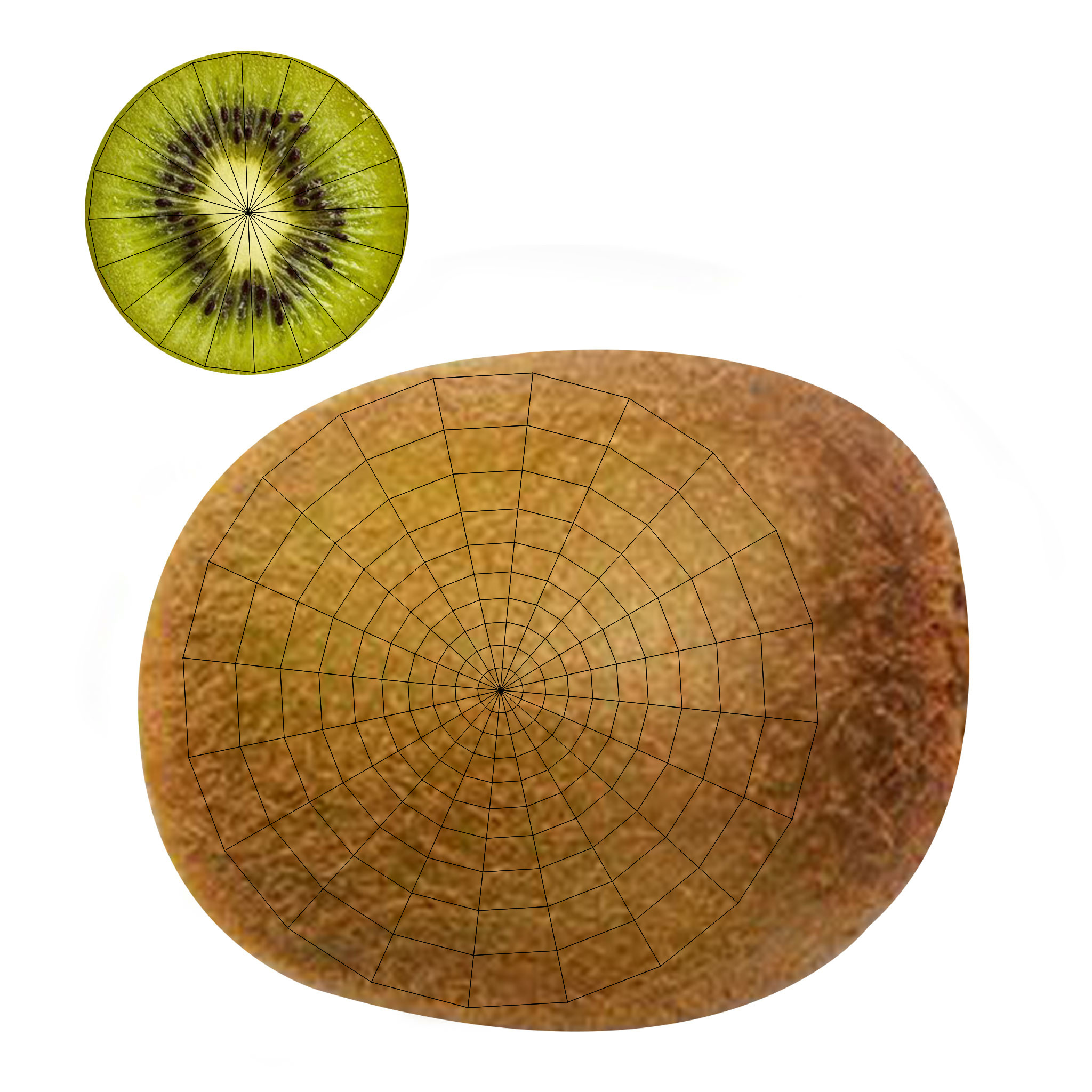 Low-Poly Kiwi Fruit Slice Low-poly 3D model_5