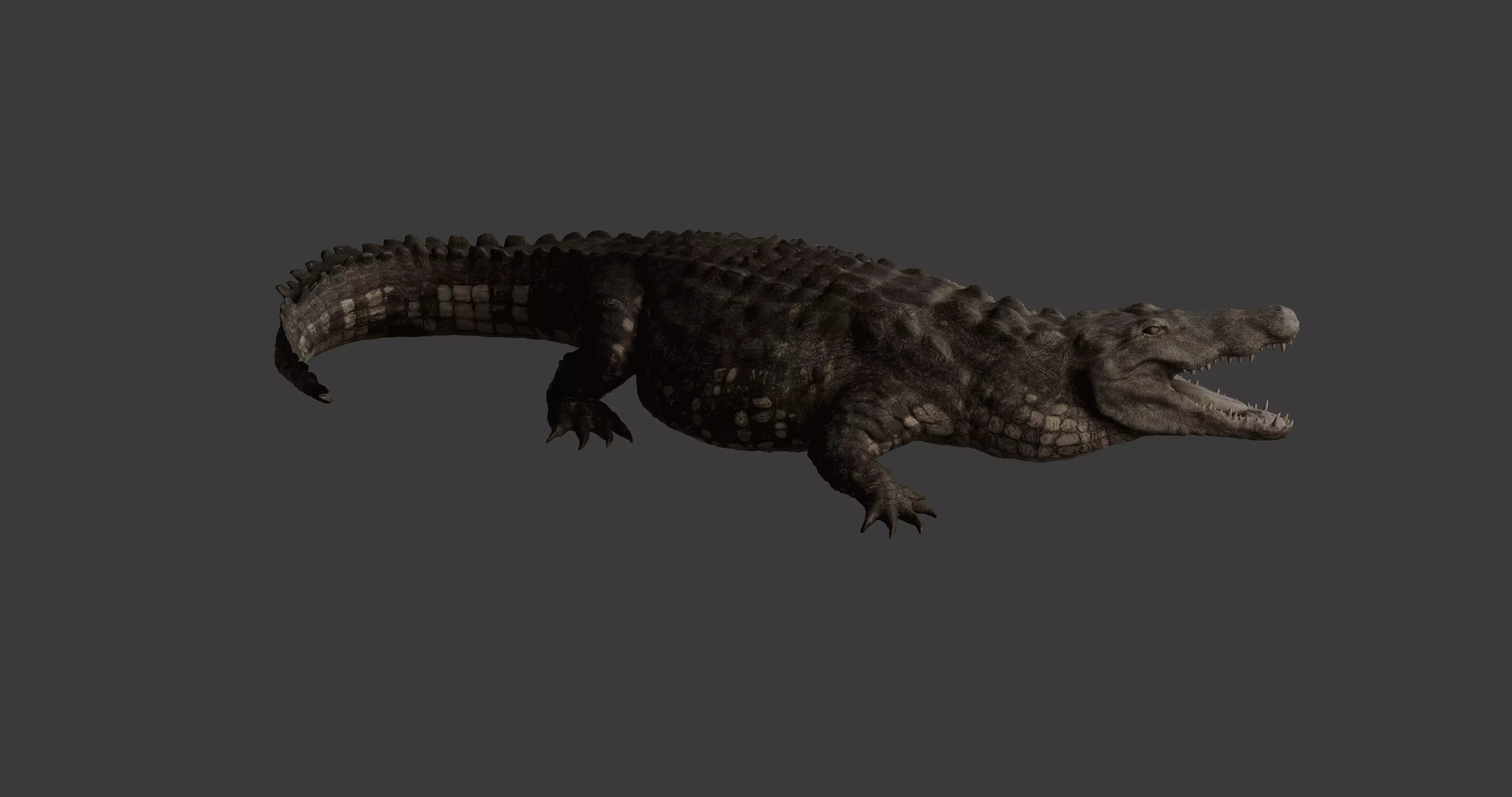 Realistic Crocodile - Alligator 3D model_0