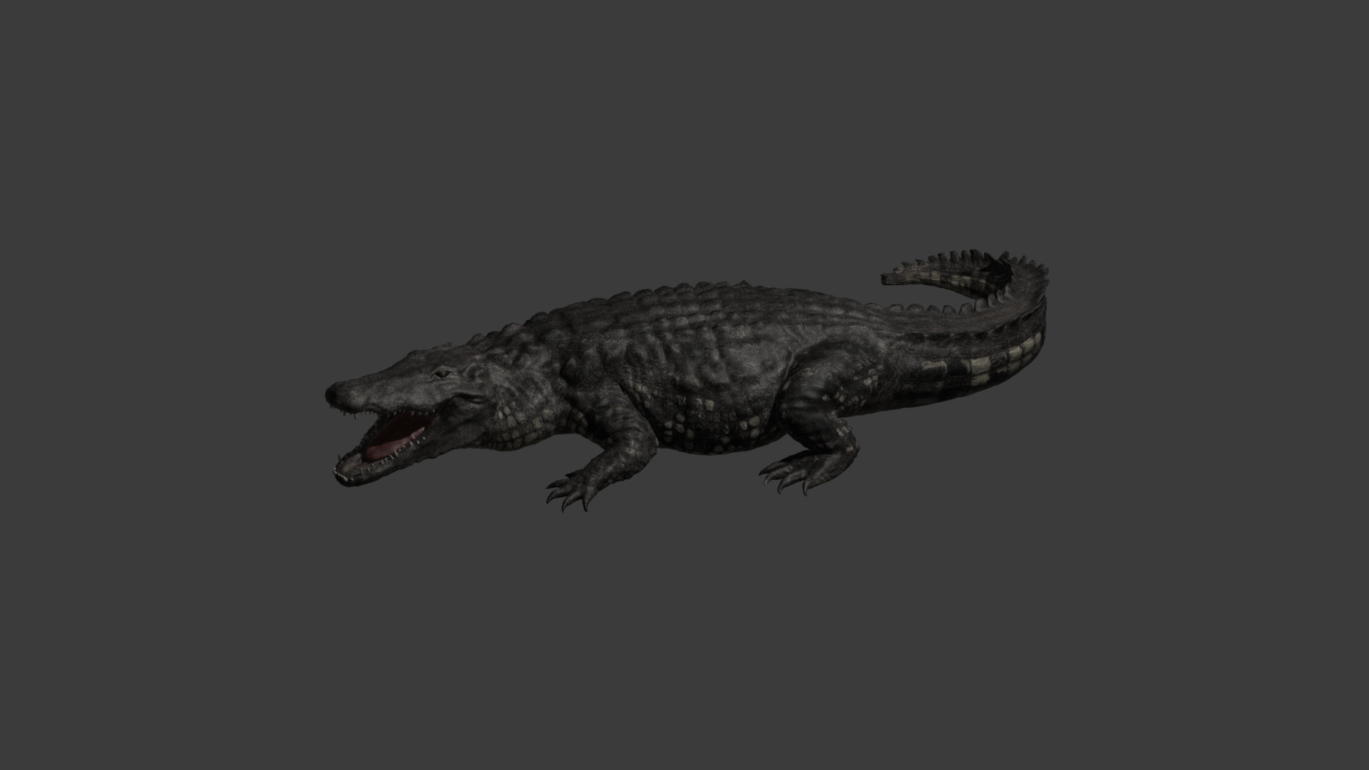 Realistic Crocodile - Alligator 3D model_4