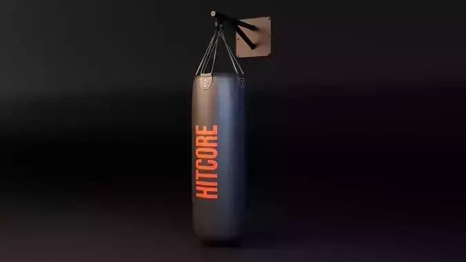 Punching Boxing Bag