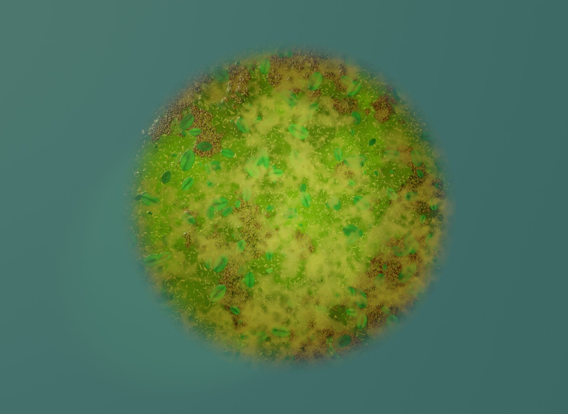 Animated Cartoon Animals Unreal Asset Low-poly 3D model_104