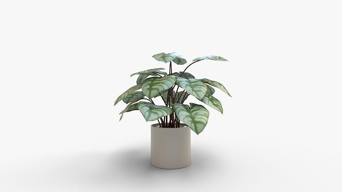 Faux Plants 3D model 5