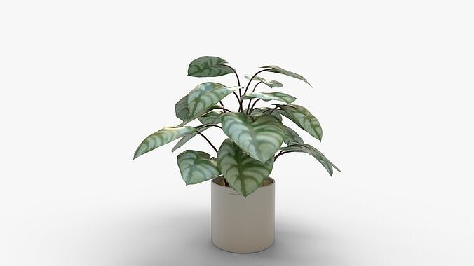 Faux Plants 3D model 7