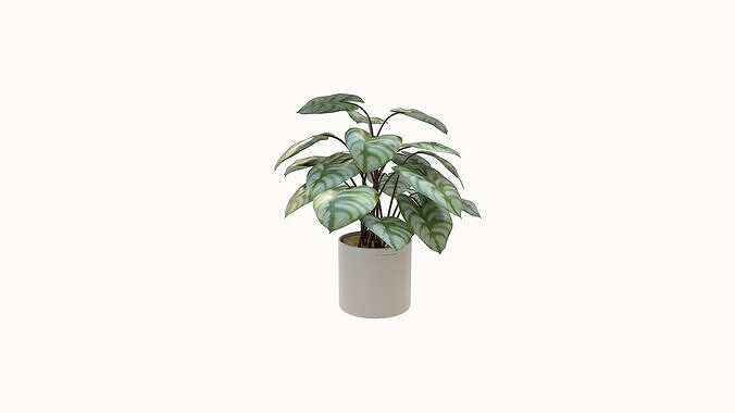 Faux Plants 3D model