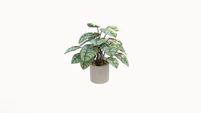 Faux Plants 3D model 2