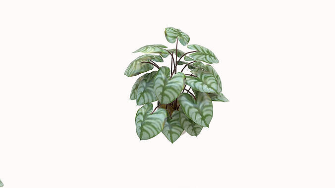 Faux Plants 3D model 3