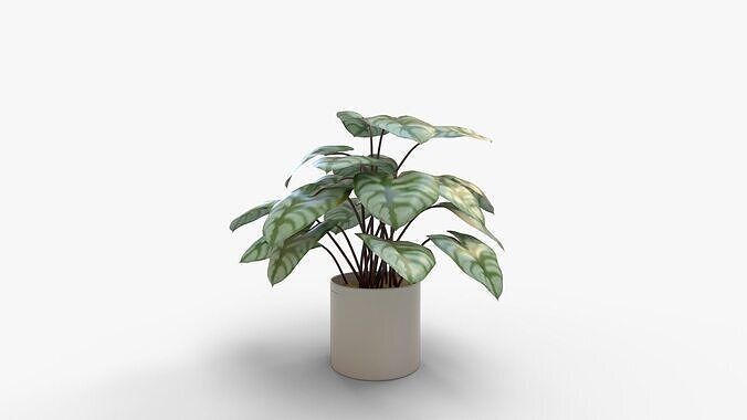Faux Plants 3D model 6