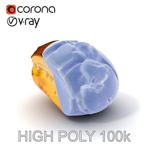 Crusty Artisan Bread Loaf model pack Low-poly 3D model 7