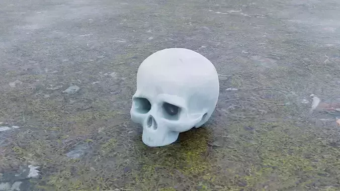  porcelain skull sculpture 