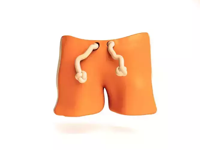 Swim Shorts 3d icon