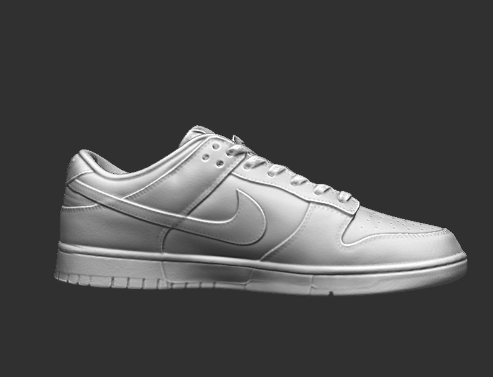 3D Scanned Nike Dunk Low Retro 3D print model_1