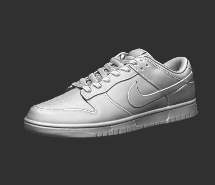 3D Scanned Nike Dunk Low Retro 3D print model_0