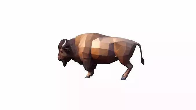 European American Wild Bison Buffalo High Render