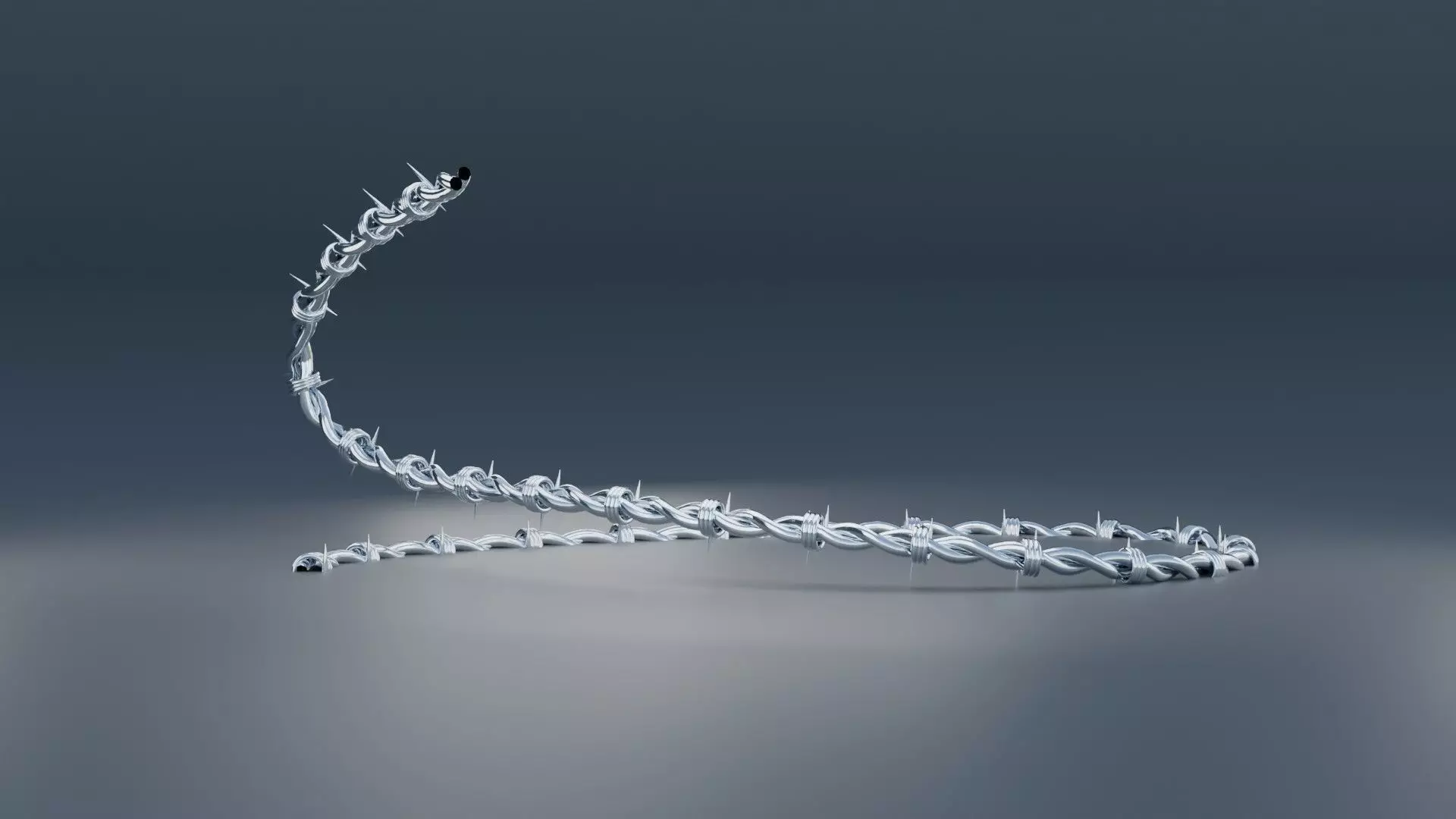 Barbed Wire 3D model_0