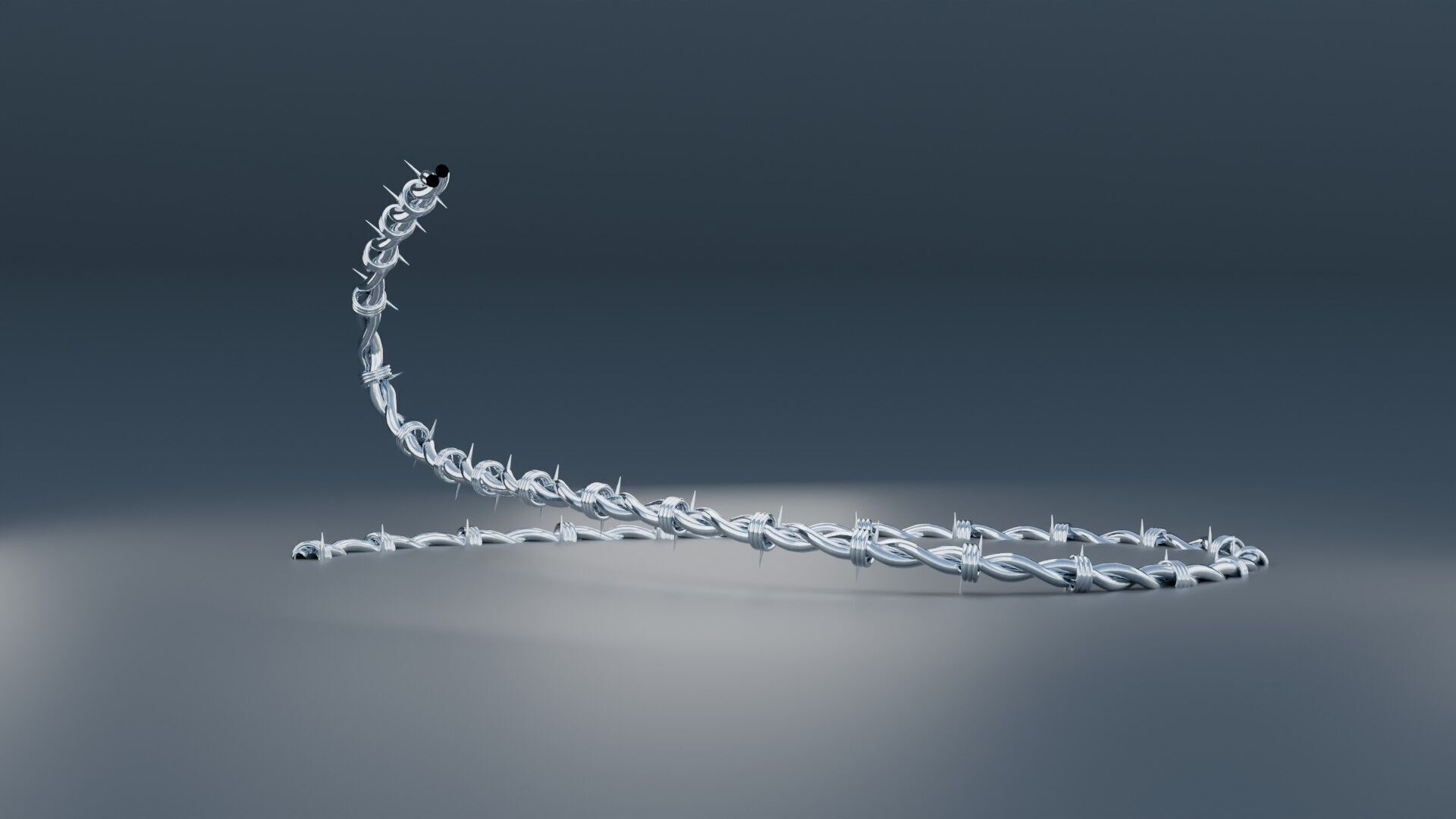 Barbed Wire 3D model_1