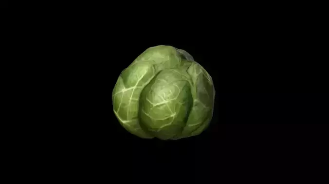 Raw Brussels Sprouts As Background High Render