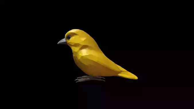 Beautiful Yellow Canary Bird Animal  High Render