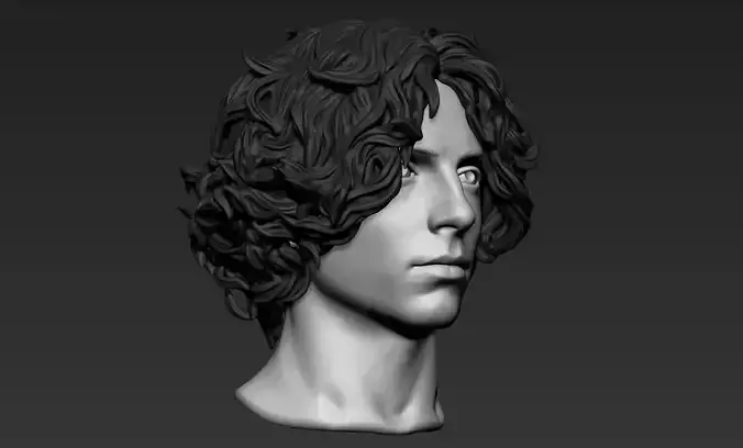 Male Head with Hair 2