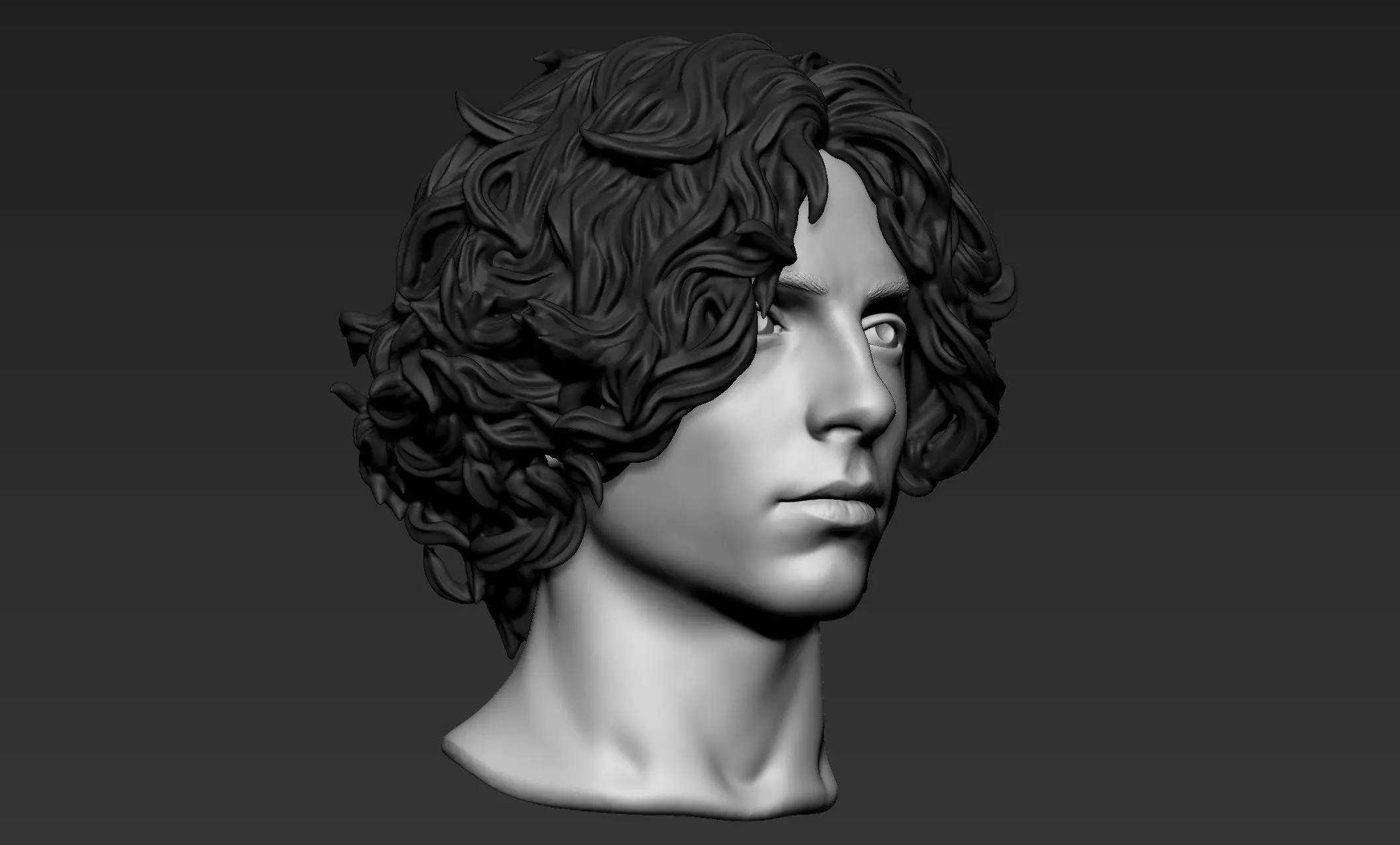 Male Head with Hair 2 3D model