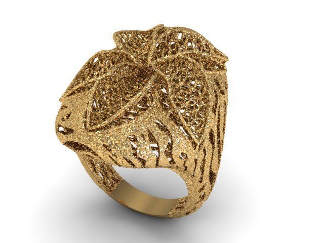 24 Jali Rings 3D print model_10