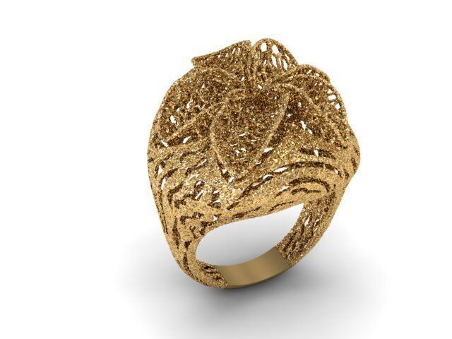 24 Jali Rings 3D print model_11