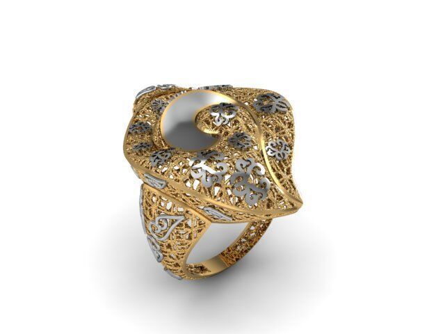 24 Jali Rings 3D print model_19