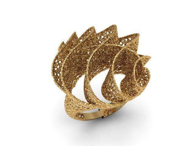 24 Jali Rings 3D print model_12