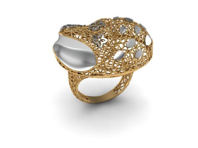 24 Jali Rings 3D print model_17