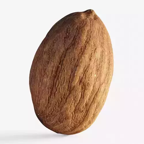 Scanned almond nut Low-poly 3D model