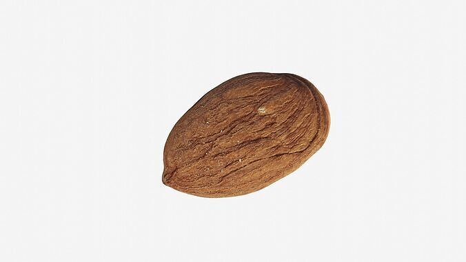 Scanned almond nut Low-poly 3D model 5