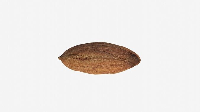Scanned almond nut Low-poly 3D model 6
